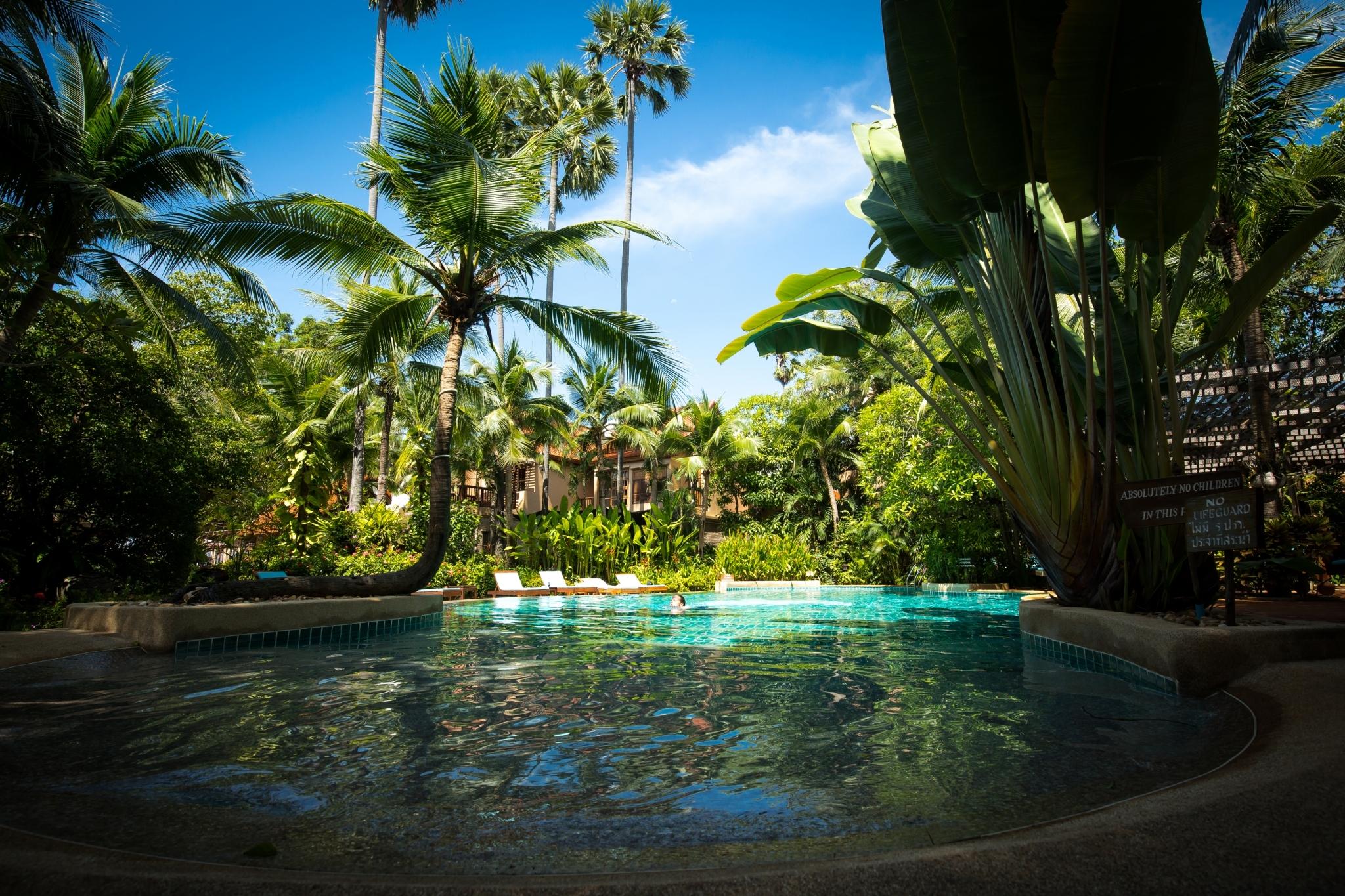 Resor Rabbit Pattaya
