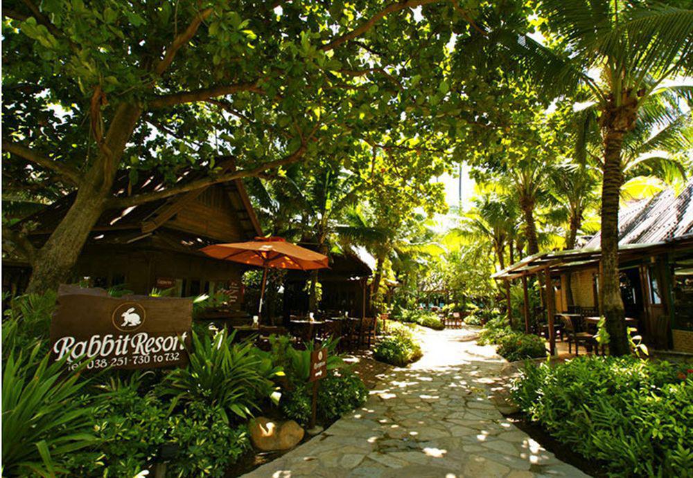 Resor Rabbit 4*